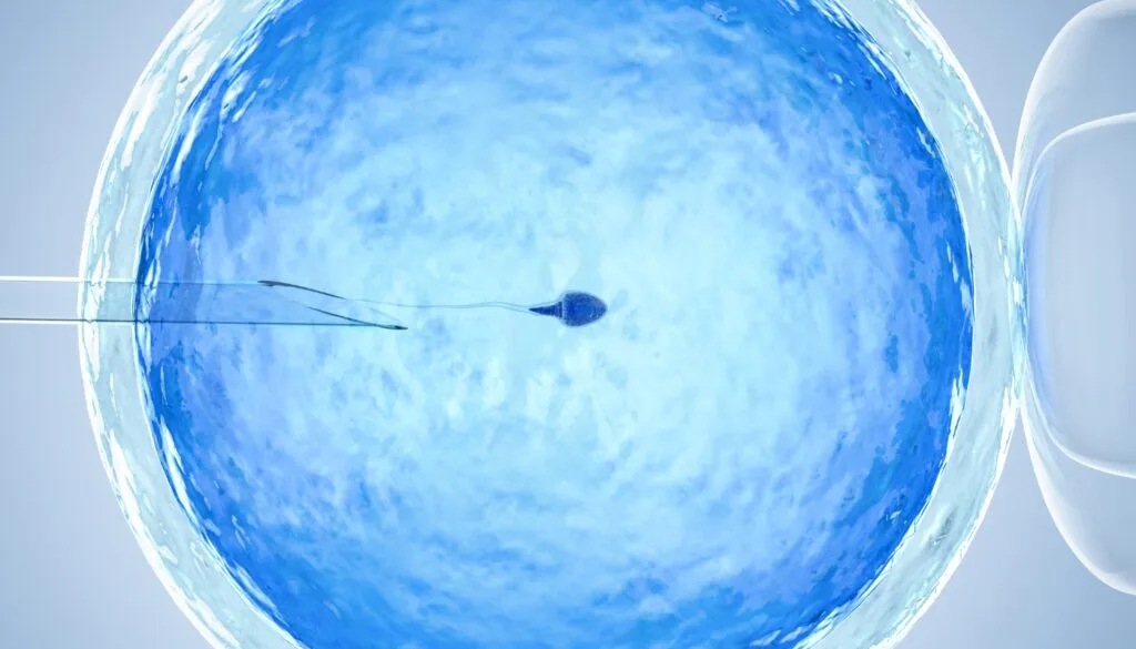 day 7 after embryo transfer what to expect during the ivf waiting period 2